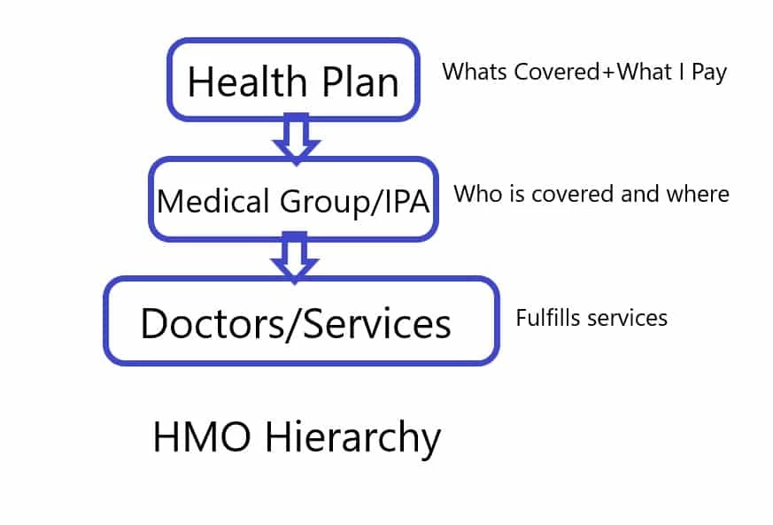 Independent Medicare agent HMO hierarchy